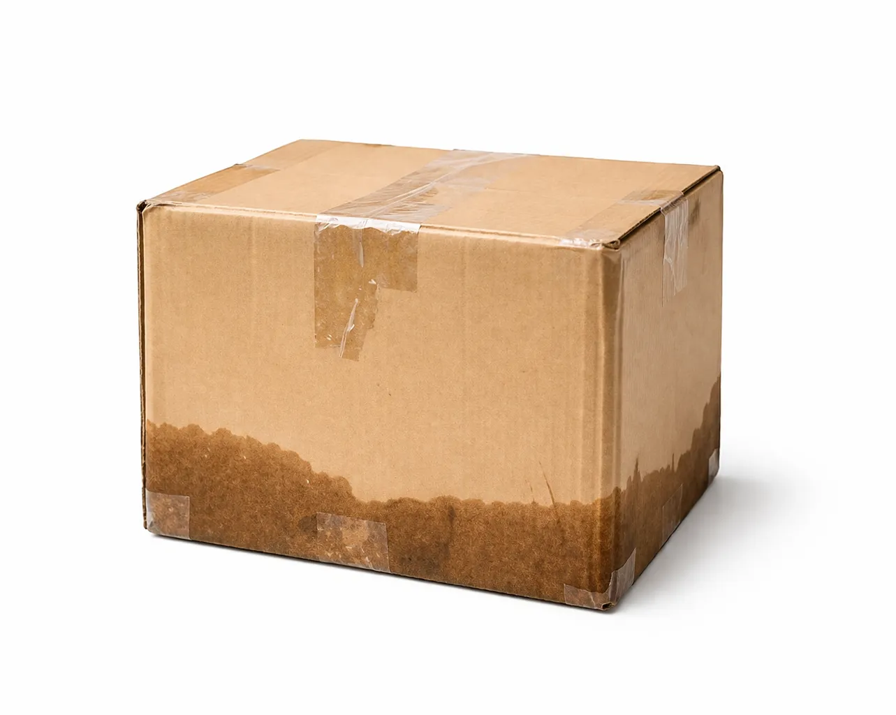 Waxed corrugated carton visibly soaked and softened under wet handling conditions