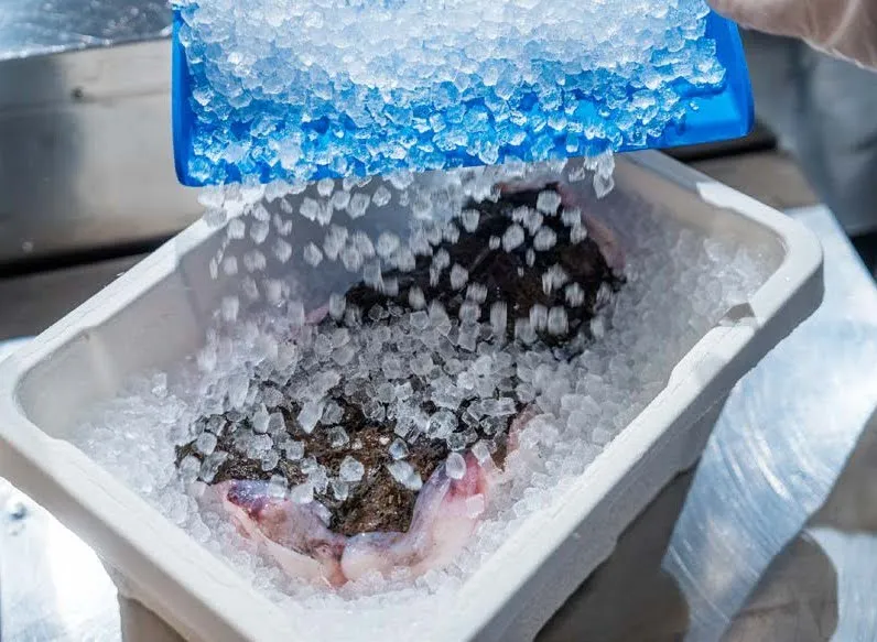 Ice and moisture barrier validation