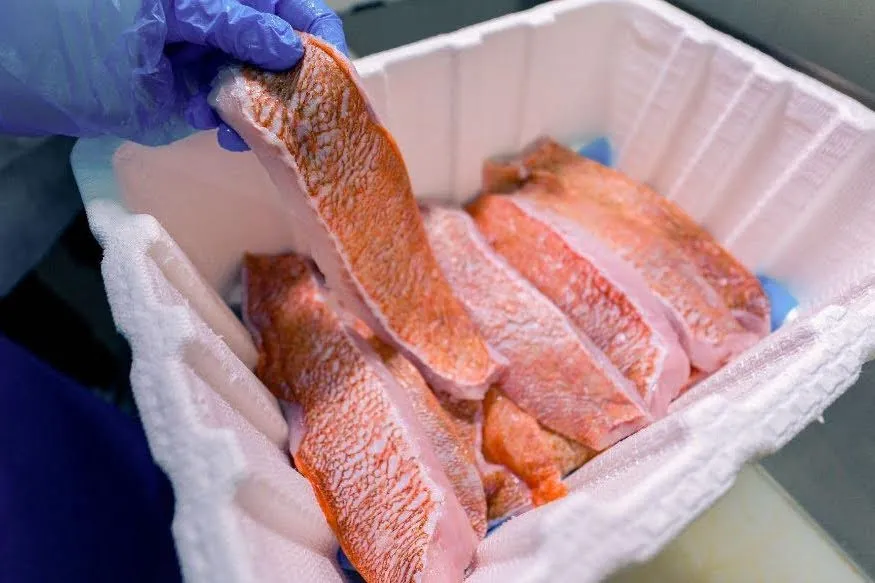 Cold-chain seafood context: fiber packaging in a real seafood handling environment