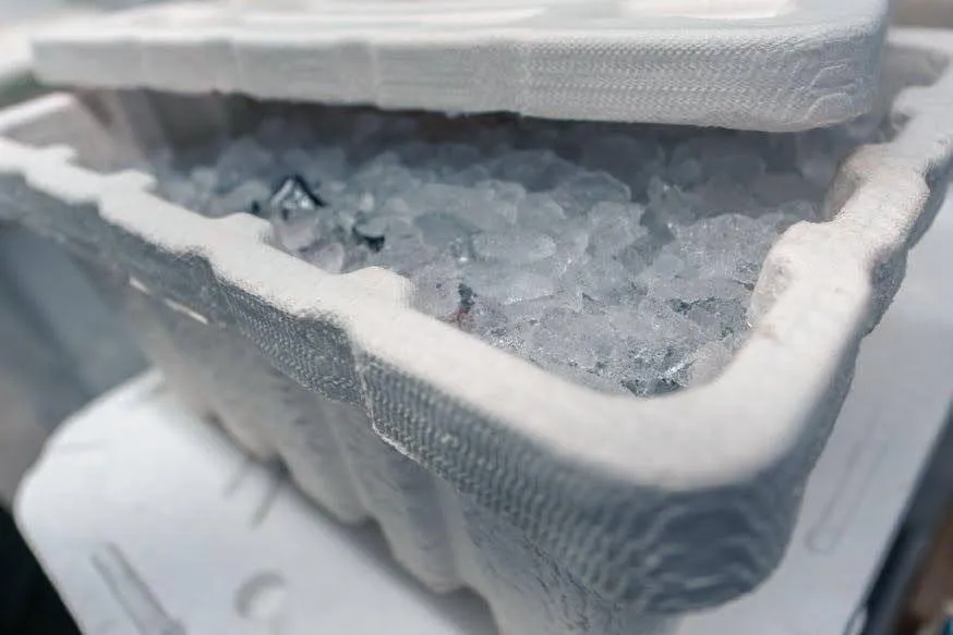 Close-up of molded fiber packaging construction