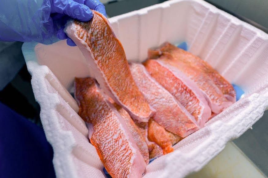 Transgourmet refrigerated seafood logistics in action